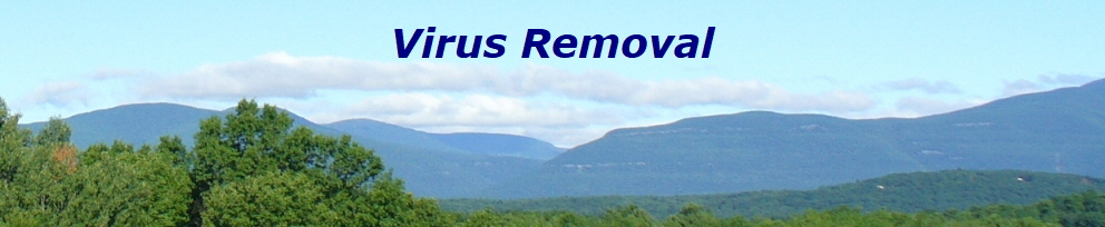 Virus Removal